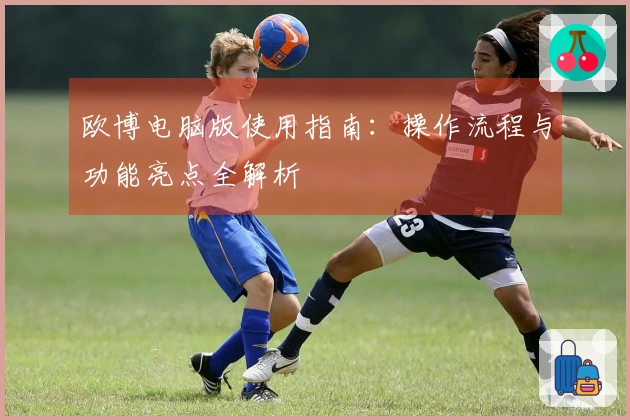 欧博电脑版使用指南：操作流程与功能亮点全解析