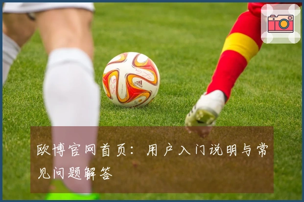 欧博官网首页：用户入门说明与常见问题解答