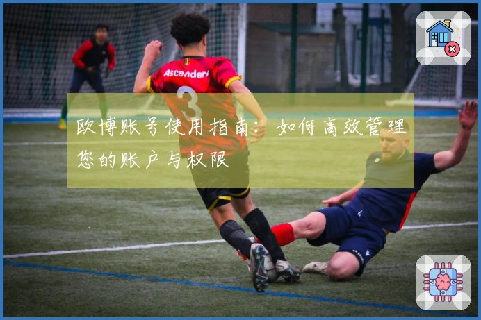 欧博账号使用指南：如何高效管理您的账户与权限