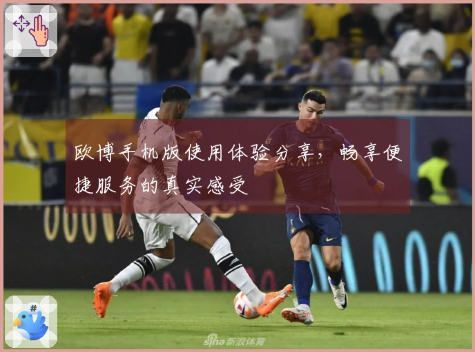 欧博手机版使用体验分享，畅享便捷服务的真实感受